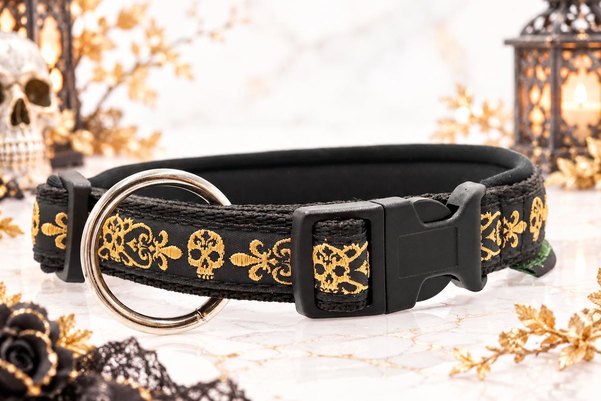 Halsband „Golden Rebel“  Zugentlastung/ Sofortkauf / Innenumfang ca. 32-37 cm