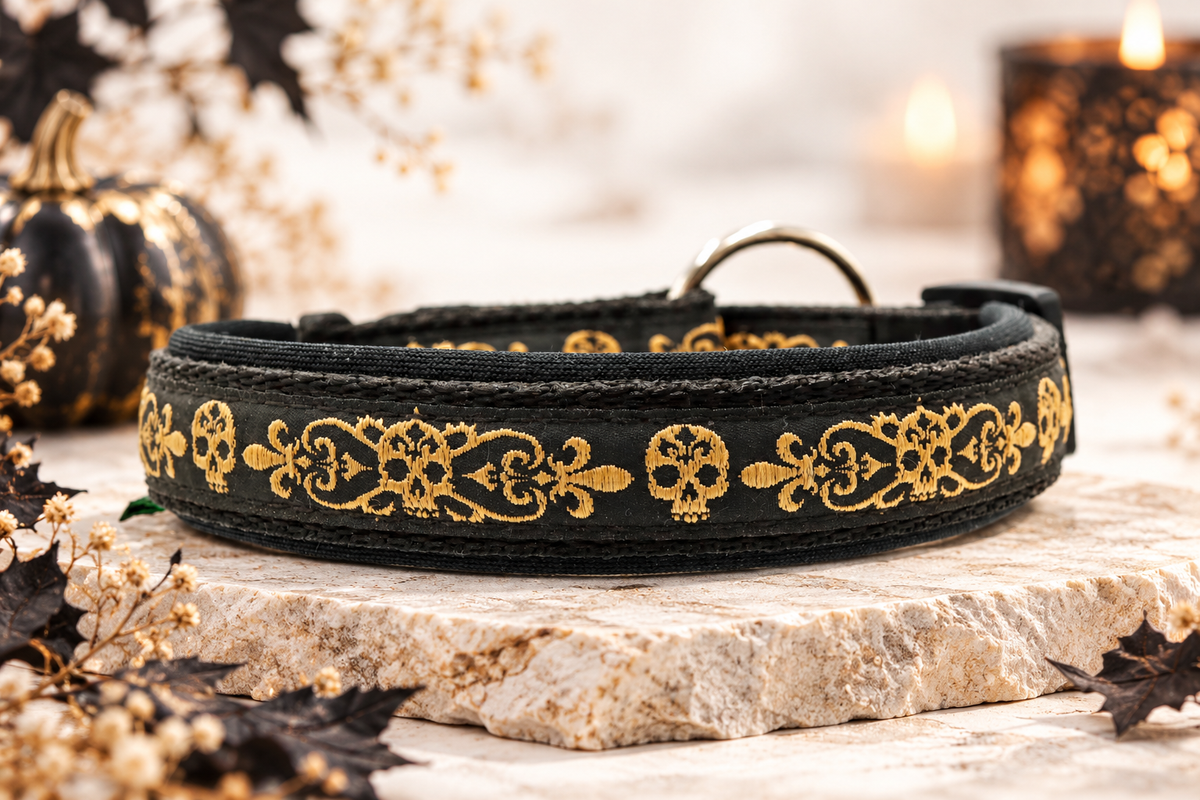 Halsband „Golden Rebel“  Zugentlastung/ Sofortkauf / Innenumfang ca. 34-37 cm