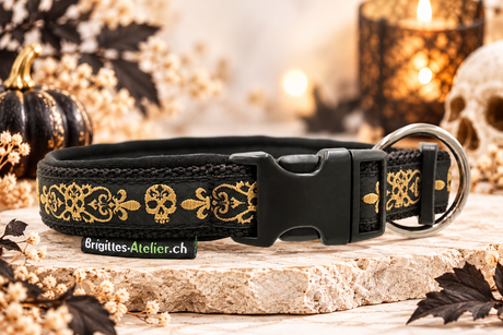 Halsband „Golden Rebel“  Zugentlastung/ Sofortkauf / Innenumfang ca. 34-37 cm