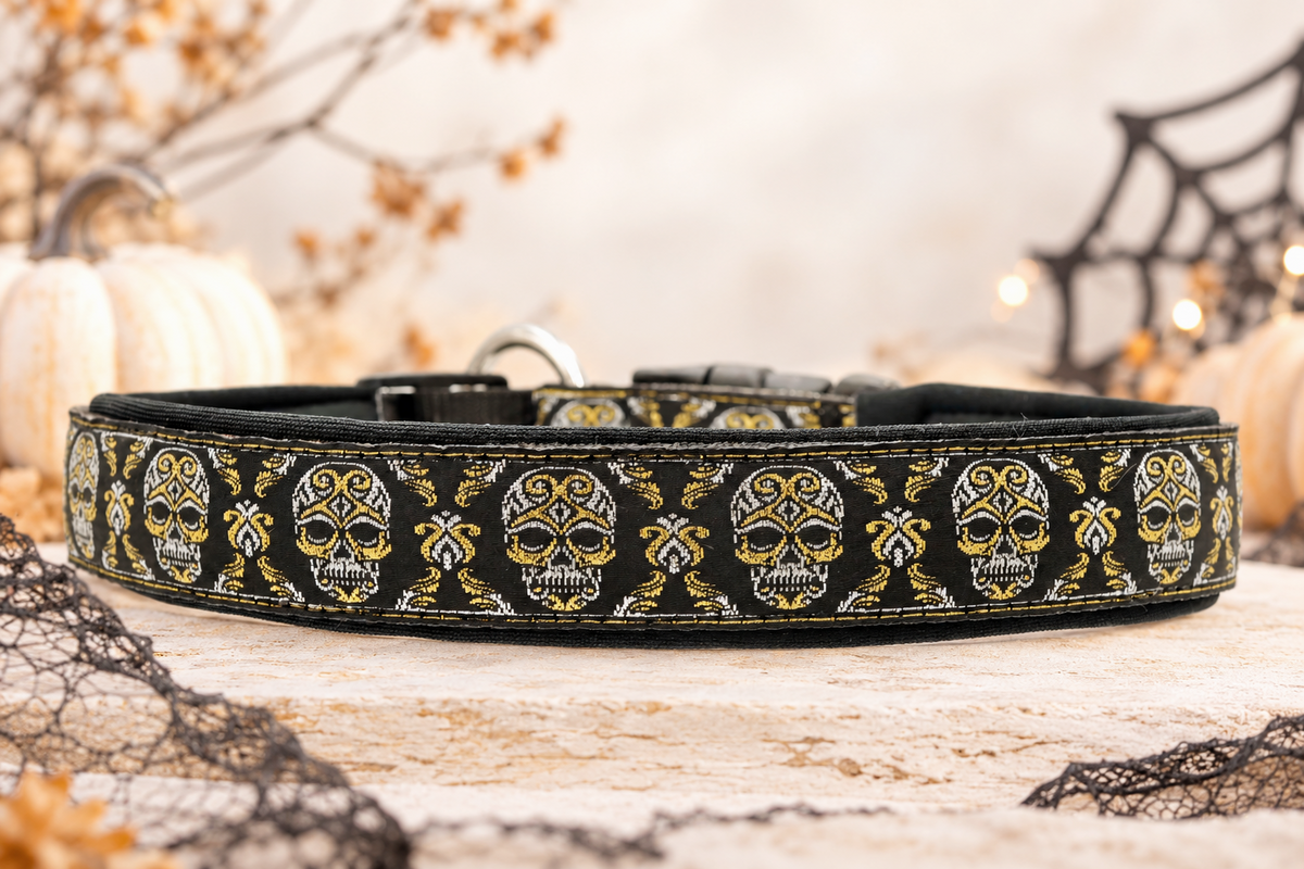 Halsband „Skull Edition“  Zugentlastung/ Sofortkauf / Innenumfang ca. 41-46 cm