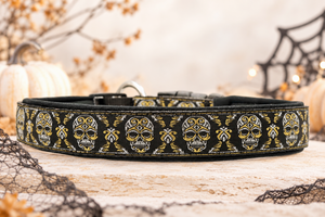 Halsband „Skull Edition“  Zugentlastung/ Sofortkauf / Innenumfang ca. 41-46 cm