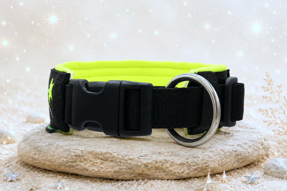 '⭐ Starlight Neon' – extrabreites Halsband/ Sofortkauf / Innenumfang ca. 34 - 39 cm