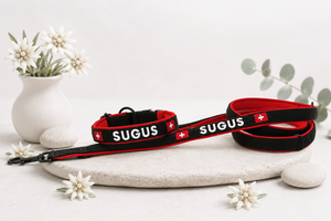 Halsband „schwiizer Powerpfoten“ – personalisiert & individuell / Preis inkl. Stickerei & Neopren-Polsterung (Basis: 2,5 cm Gurtband / ca. 3,5 cm Gesamtbreite). Weitere Optionen können den Endpreis verändern.