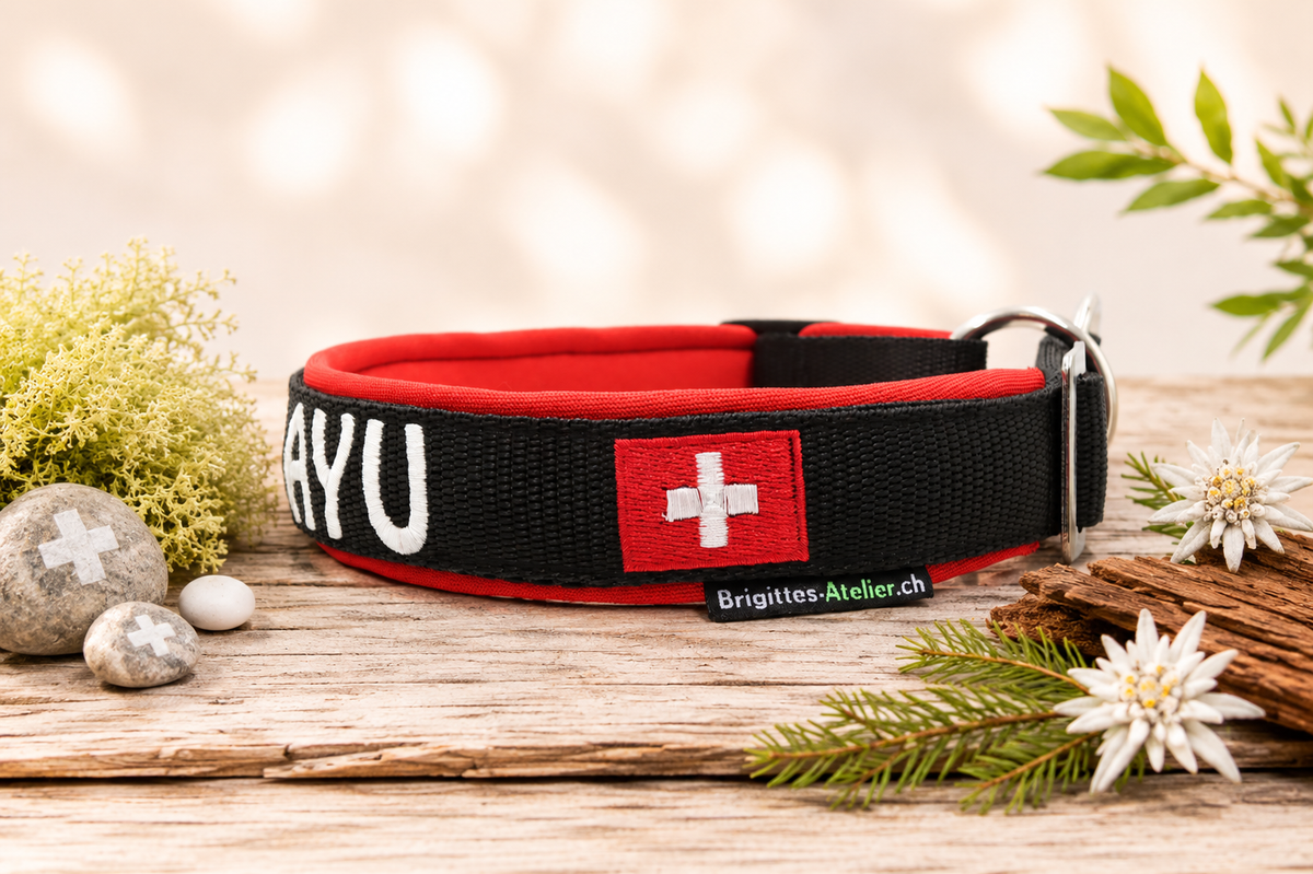 Halsband „schwiizer Powerpfoten“ – personalisiert & individuell / Preis inkl. Stickerei & Neopren-Polsterung (Basis: 2,5 cm Gurtband / ca. 3,5 cm Gesamtbreite). Weitere Optionen können den Endpreis verändern.