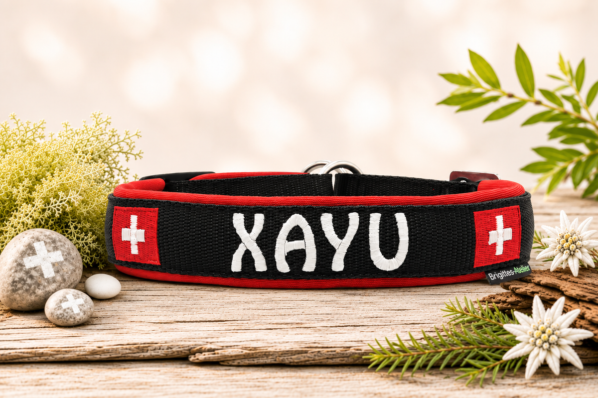 Halsband „schwiizer Powerpfoten“ – personalisiert & individuell / Preis inkl. Stickerei & Neopren-Polsterung (Basis: 2,5 cm Gurtband / ca. 3,5 cm Gesamtbreite). Weitere Optionen können den Endpreis verändern.