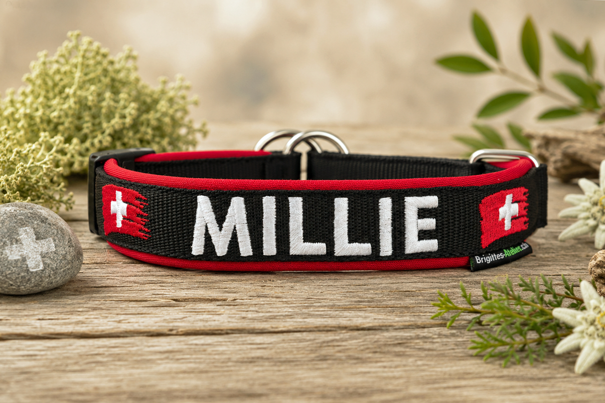Halsband „schwiizer Herz“ – personalisiert & individuell / Preis inkl. Stickerei & Neopren-Polsterung (Basis: 2,5 cm Gurtband / ca. 3,5 cm Gesamtbreite). Weitere Optionen können den Endpreis verändern. (Kopie)