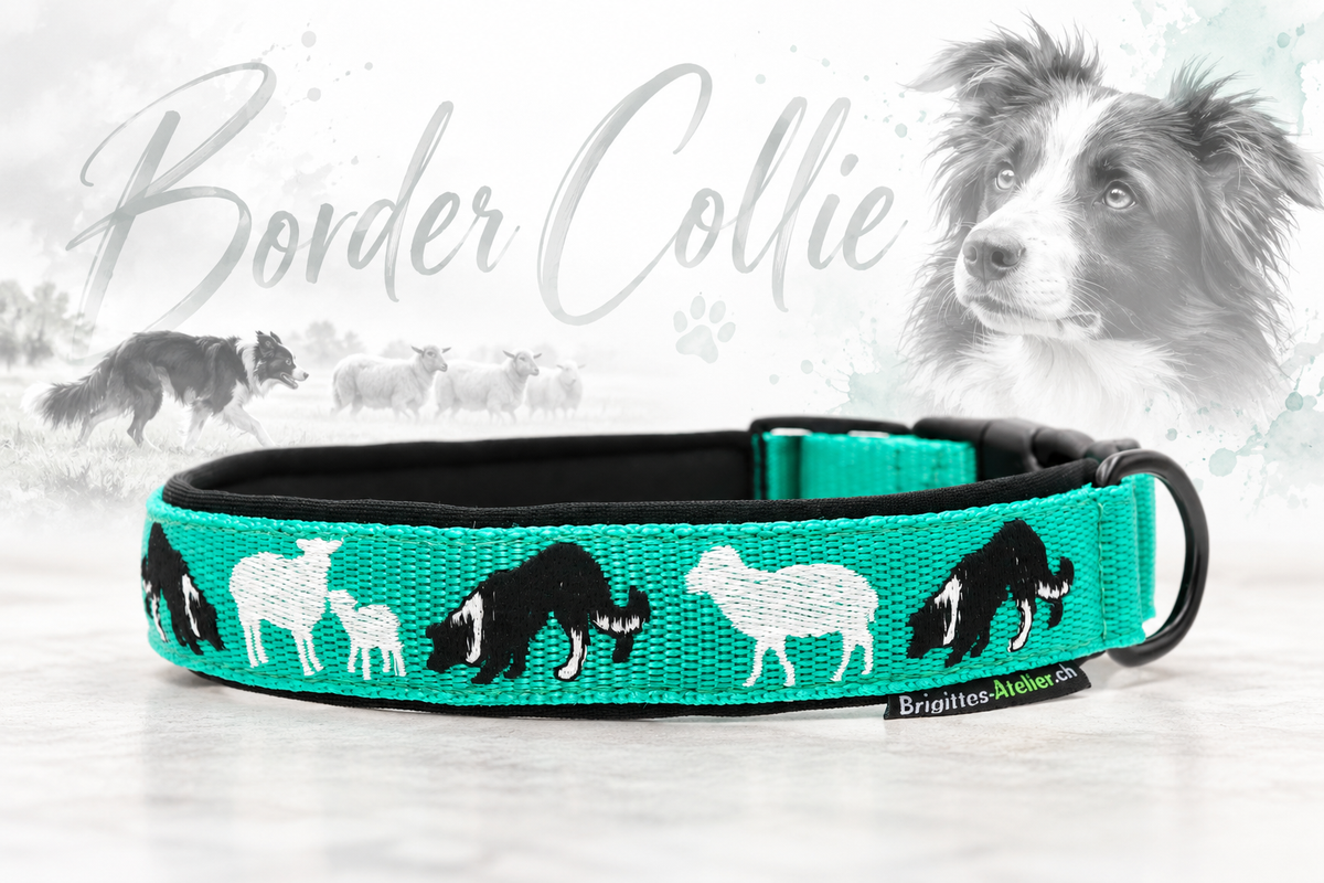 Halsband „Border Collie – Working Dogs“ Klick / Sofortkauf / Innenumfang ca. 36.5-41 cm