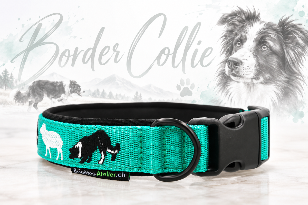 Halsband „Border Collie – Working Dogs“ Klick / Sofortkauf / Innenumfang ca. 36.5-41 cm