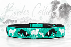 Halsband „Border Collie at work“ – personalisiert & individuell / Preis inkl. Stickerei & Neopren-Polsterung (Basis: 2,5 cm Gurtband / ca. 3,5 cm Gesamtbreite). Weitere Optionen können den Endpreis verändern.