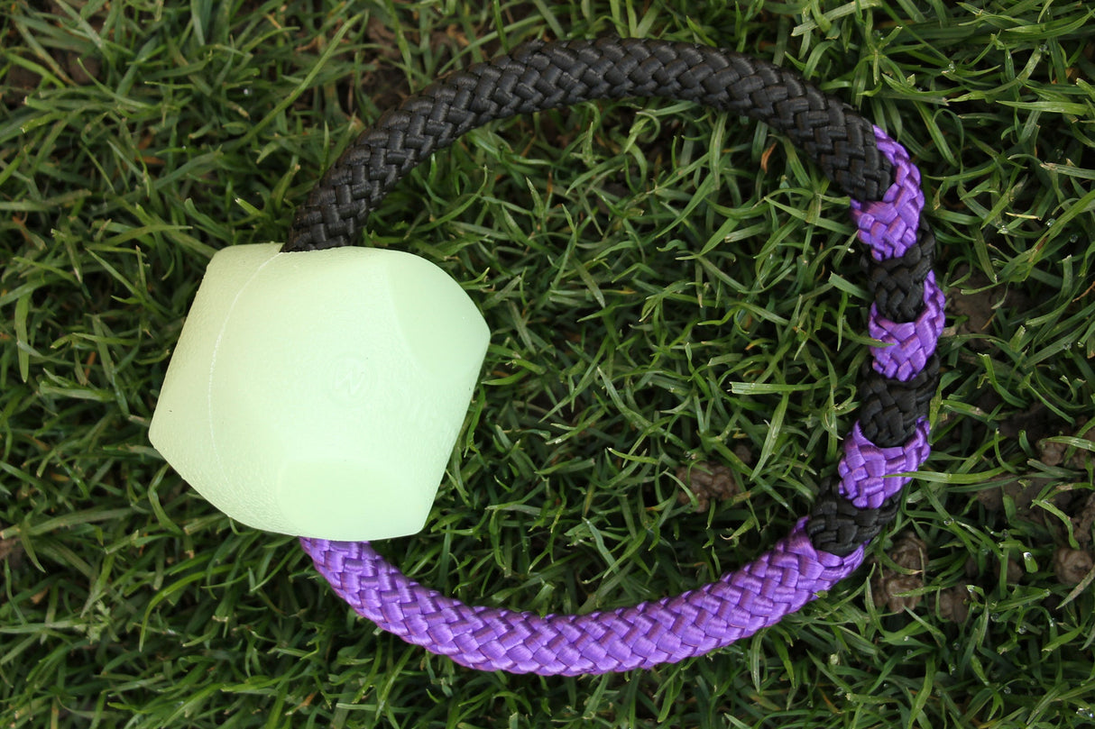 CHUCKIT! ERATIC MAX GLOW BALL 6 cm mit Seil