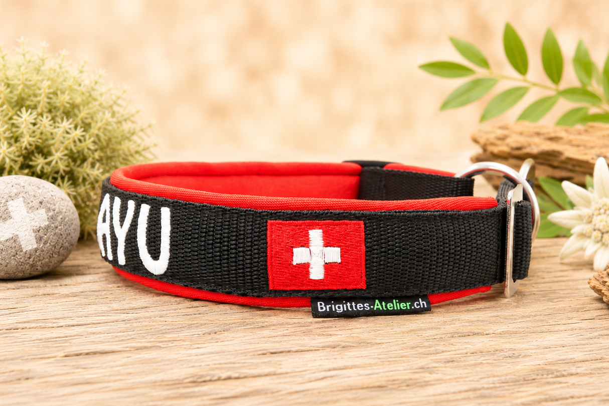 Halsband „schwiizer Powerpfoten“ – personalisiert & individuell / Preis inkl. Stickerei & Neopren-Polsterung (Basis: 2,5 cm Gurtband / ca. 3,5 cm Gesamtbreite). Weitere Optionen können den Endpreis verändern. (Kopie) (Kopie) (Kopie)