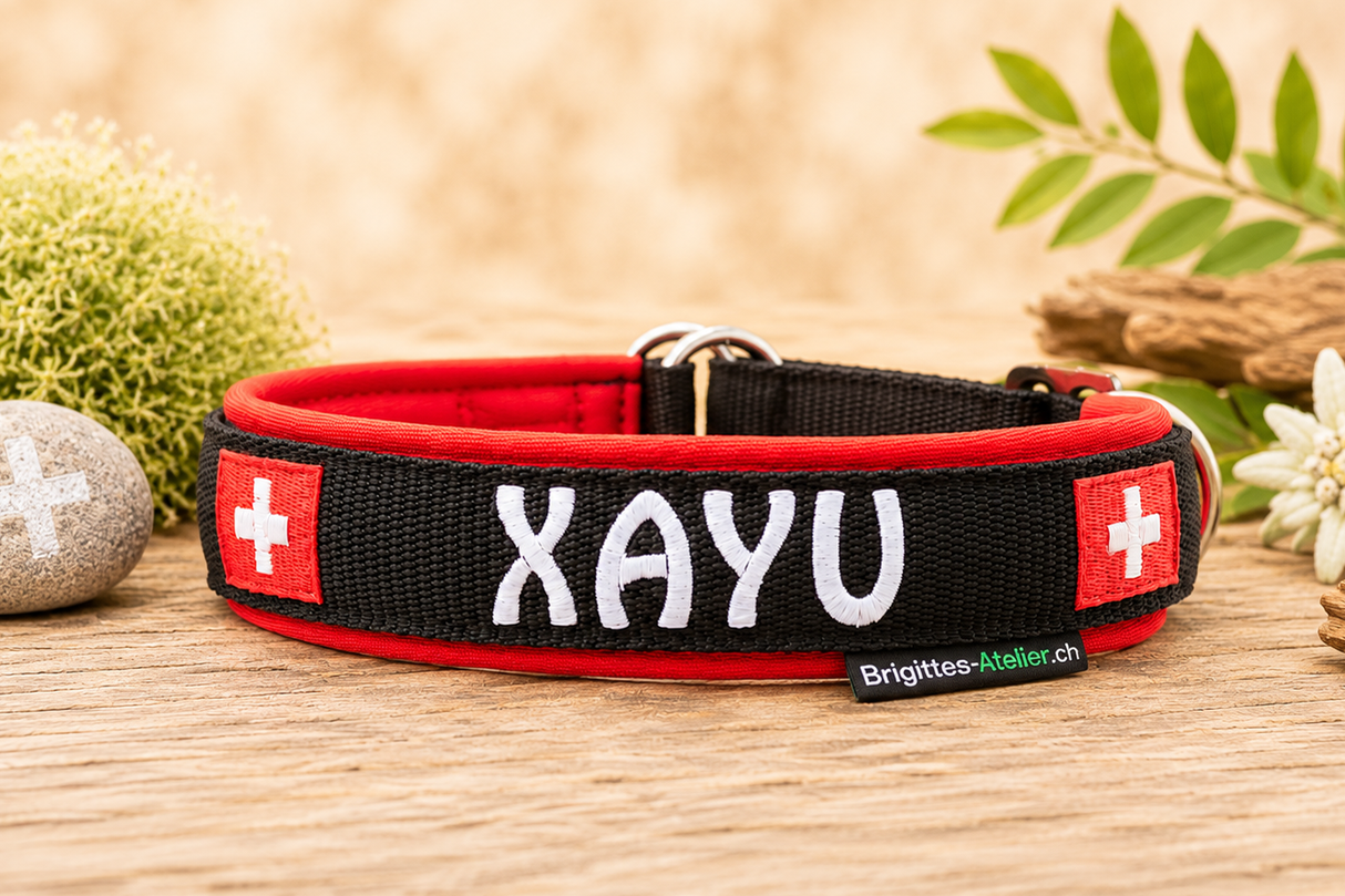 Halsband „schwiizer Powerpfoten“ – personalisiert & individuell / Preis inkl. Stickerei & Neopren-Polsterung (Basis: 2,5 cm Gurtband / ca. 3,5 cm Gesamtbreite). Weitere Optionen können den Endpreis verändern. (Kopie) (Kopie) (Kopie)
