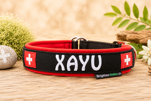 Halsband „schwiizer Powerpfoten“ – personalisiert & individuell / Preis inkl. Stickerei & Neopren-Polsterung (Basis: 2,5 cm Gurtband / ca. 3,5 cm Gesamtbreite). Weitere Optionen können den Endpreis verändern. (Kopie) (Kopie) (Kopie)