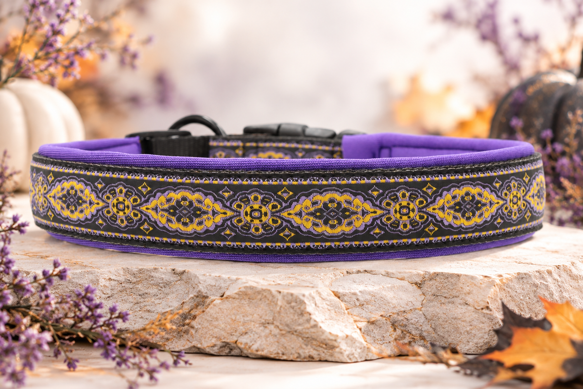 Halsband „Golden Twilight“  Zugentlastung/ Sofortkauf / Innenumfang ca. 40-45 cm