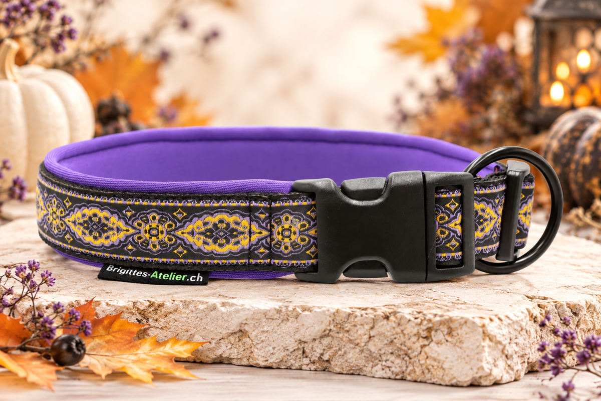 Halsband „Golden Twilight“  Zugentlastung/ Sofortkauf / Innenumfang ca. 40-45 cm