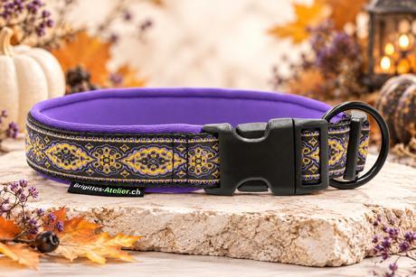 Halsband „Golden Twilight“  Zugentlastung/ Sofortkauf / Innenumfang ca. 40-45 cm
